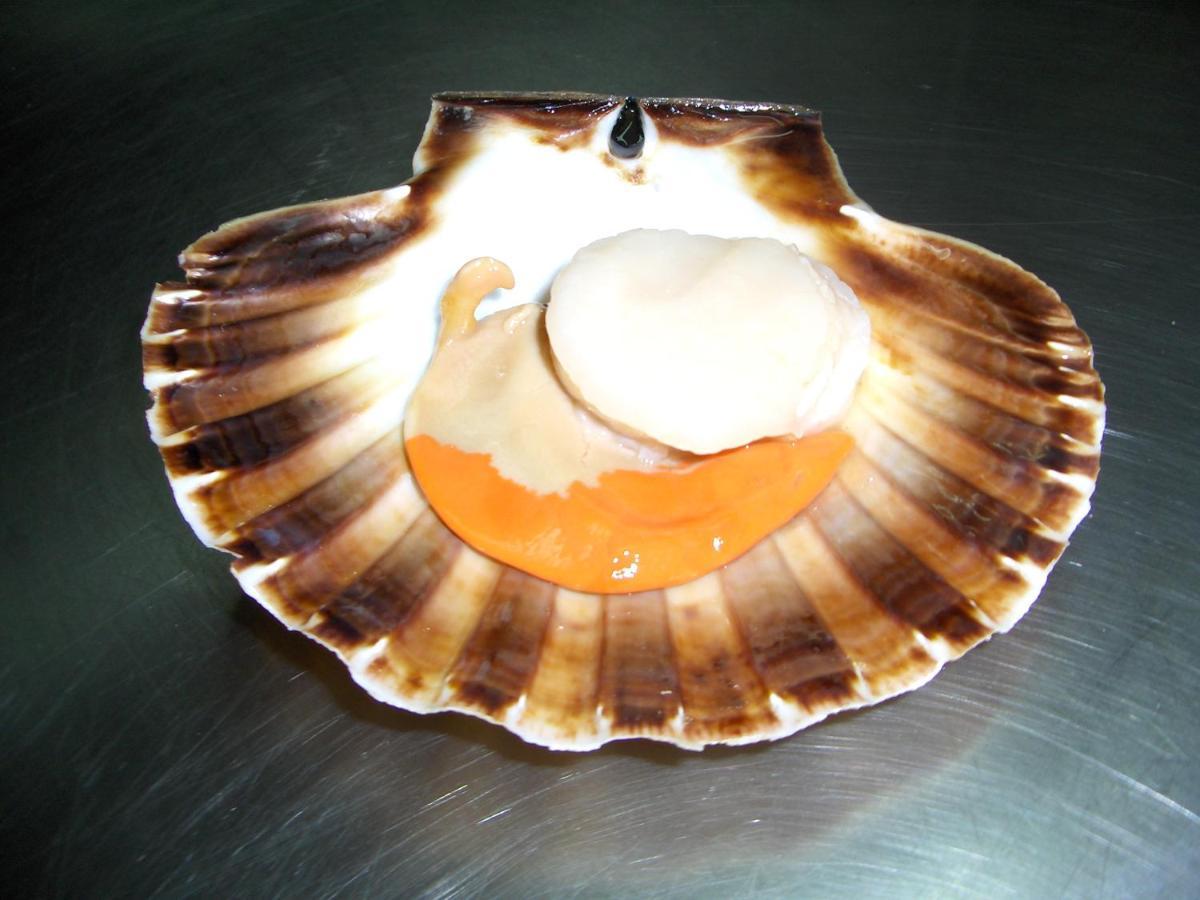 Miryam L' Escala
